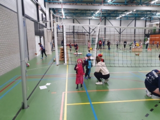 bal over net gooien